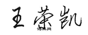 駱恆光王榮凱行書個性簽名怎么寫