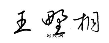 梁錦英王野桐草書個性簽名怎么寫