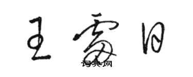 駱恆光王雷日草書個性簽名怎么寫