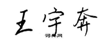 王正良王宇奔行書個性簽名怎么寫