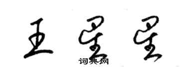 梁錦英王星星草書個性簽名怎么寫