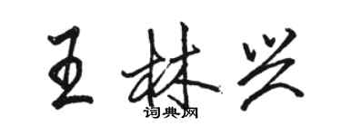 駱恆光王林興行書個性簽名怎么寫