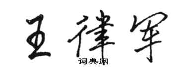 駱恆光王律軍行書個性簽名怎么寫