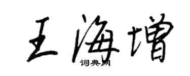 王正良王海增行書個性簽名怎么寫