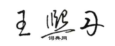 駱恆光王熙丹草書個性簽名怎么寫