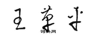 駱恆光王革平草書個性簽名怎么寫