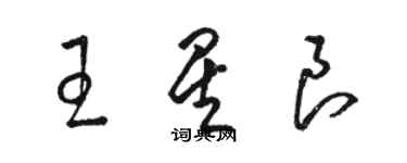 駱恆光王星良草書個性簽名怎么寫