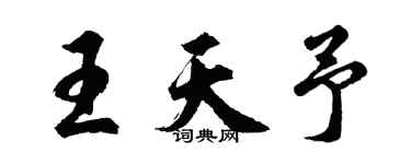 胡問遂王天予行書個性簽名怎么寫