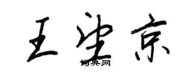 王正良王望京行書個性簽名怎么寫
