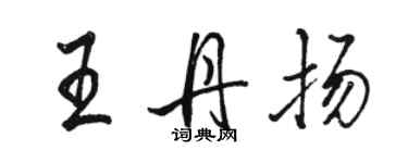 駱恆光王丹揚行書個性簽名怎么寫