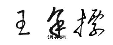 駱恆光王余標草書個性簽名怎么寫