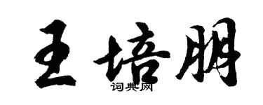 胡問遂王培朋行書個性簽名怎么寫
