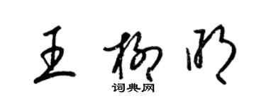 梁錦英王柳明草書個性簽名怎么寫