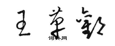 駱恆光王革歡草書個性簽名怎么寫