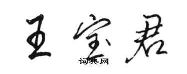 駱恆光王寶君行書個性簽名怎么寫