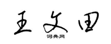 梁錦英王文田草書個性簽名怎么寫