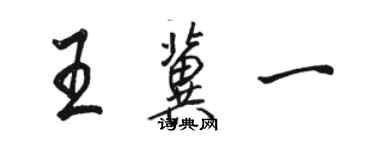 駱恆光王冀一行書個性簽名怎么寫