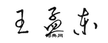 駱恆光王孟東草書個性簽名怎么寫