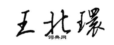 王正良王北環行書個性簽名怎么寫