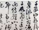 沈粲草書《千字文卷》(7)_沈粲書法作品欣賞