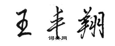 駱恆光王豐翔行書個性簽名怎么寫