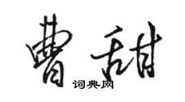 駱恆光曹甜行書個性簽名怎么寫