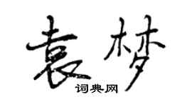 曾慶福袁夢行書個性簽名怎么寫