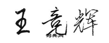 駱恆光王競輝行書個性簽名怎么寫