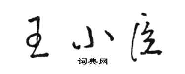 駱恆光王小臣草書個性簽名怎么寫