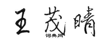 駱恆光王茂晴行書個性簽名怎么寫