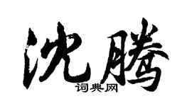 胡問遂沈騰行書個性簽名怎么寫