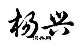 胡問遂楊興行書個性簽名怎么寫