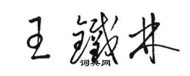 駱恆光王鐵林草書個性簽名怎么寫