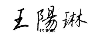 王正良王陽琳行書個性簽名怎么寫