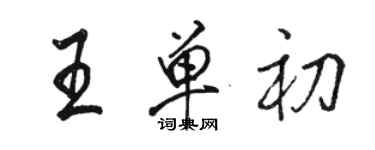 駱恆光王單初行書個性簽名怎么寫