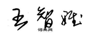 朱錫榮王智雅草書個性簽名怎么寫