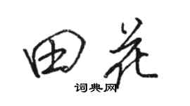 駱恆光田花行書個性簽名怎么寫