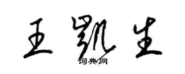 梁錦英王凱生草書個性簽名怎么寫