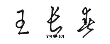 駱恆光王長春草書個性簽名怎么寫