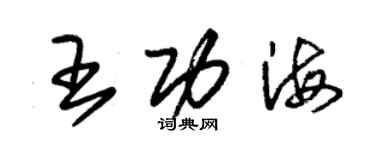 朱錫榮王功海草書個性簽名怎么寫