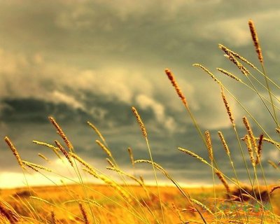 關於忘記的個性簽名