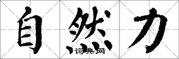 翁闓運自然力楷書怎么寫