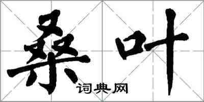 翁闓運桑葉楷書怎么寫