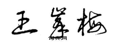 曾慶福王峰梅草書個性簽名怎么寫