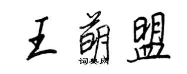 王正良王萌盟行書個性簽名怎么寫