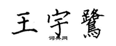 何伯昌王宇鷺楷書個性簽名怎么寫