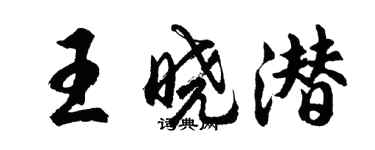 胡問遂王曉潛行書個性簽名怎么寫