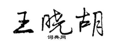 曾慶福王曉胡行書個性簽名怎么寫