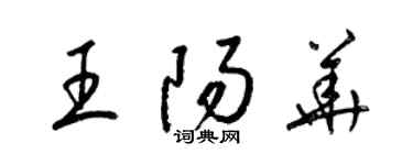 梁錦英王陽華草書個性簽名怎么寫