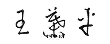 駱恆光王葉平草書個性簽名怎么寫